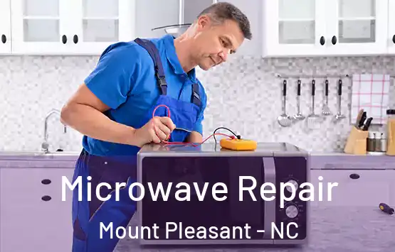  Microwave Repair Mount Pleasant - NC