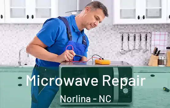  Microwave Repair Norlina - NC