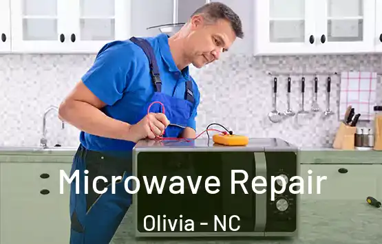  Microwave Repair Olivia - NC