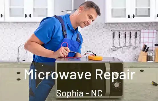  Microwave Repair Sophia - NC