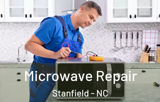 Microwave Repair Stanfield - NC