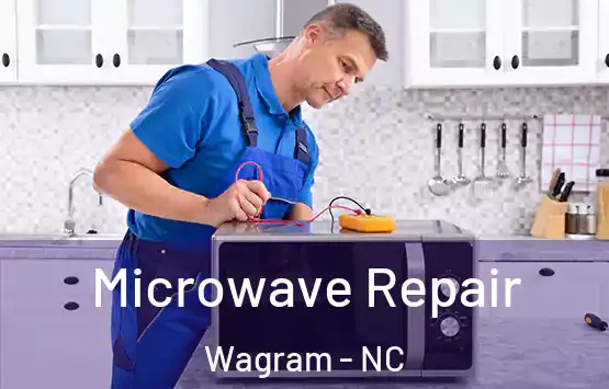  Microwave Repair Wagram - NC