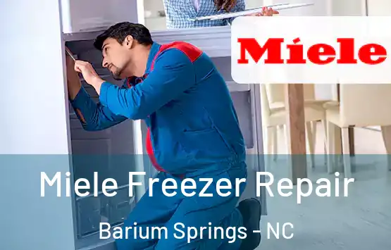  Miele Freezer Repair Barium Springs - NC