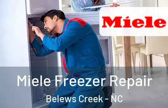  Miele Freezer Repair Belews Creek - NC