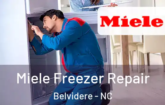  Miele Freezer Repair Belvidere - NC
