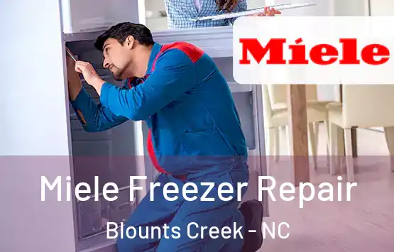  Miele Freezer Repair Blounts Creek - NC