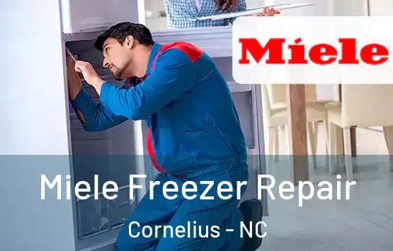  Miele Freezer Repair Cornelius - NC