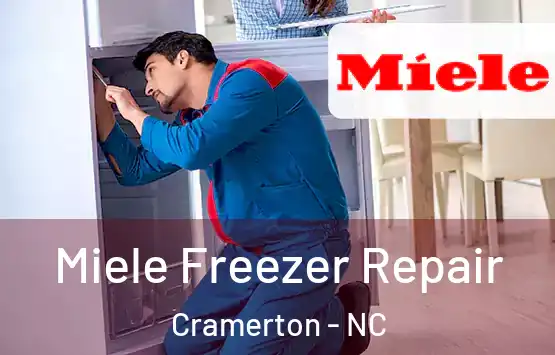  Miele Freezer Repair Cramerton - NC