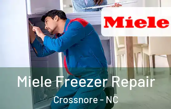  Miele Freezer Repair Crossnore - NC