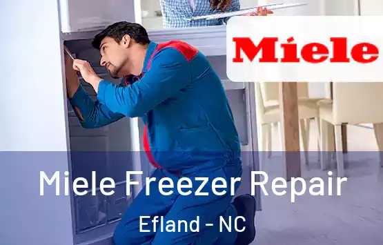 Miele Freezer Repair Efland - NC