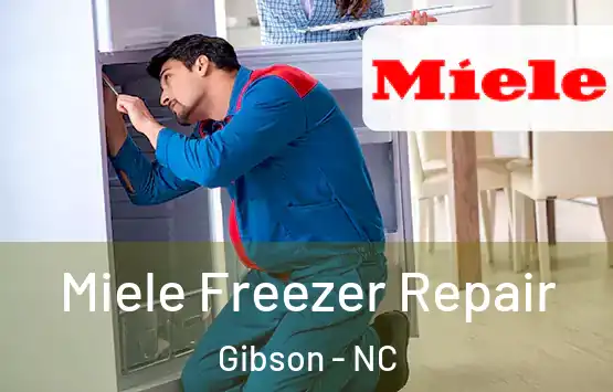 Miele Freezer Repair Gibson - NC