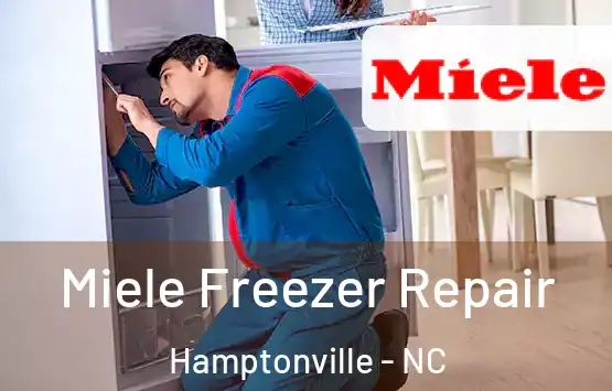  Miele Freezer Repair Hamptonville - NC