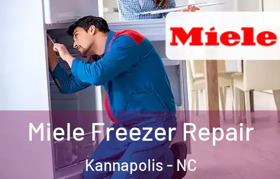  Miele Freezer Repair Kannapolis - NC