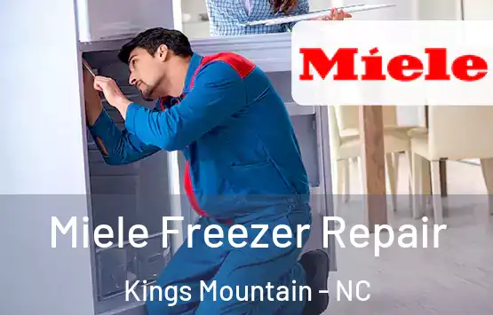  Miele Freezer Repair Kings Mountain - NC