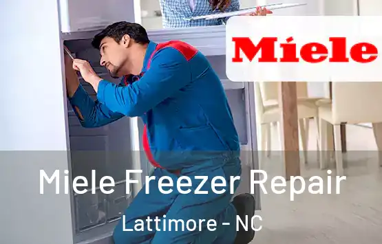  Miele Freezer Repair Lattimore - NC