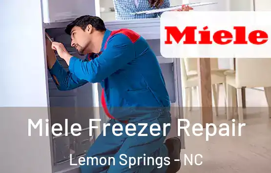  Miele Freezer Repair Lemon Springs - NC