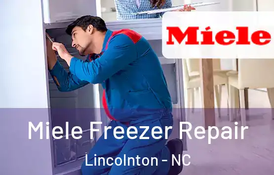  Miele Freezer Repair Lincolnton - NC
