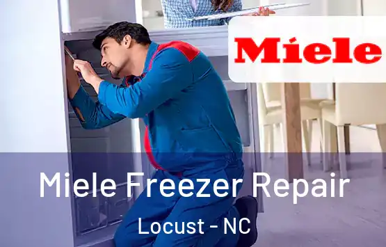  Miele Freezer Repair Locust - NC