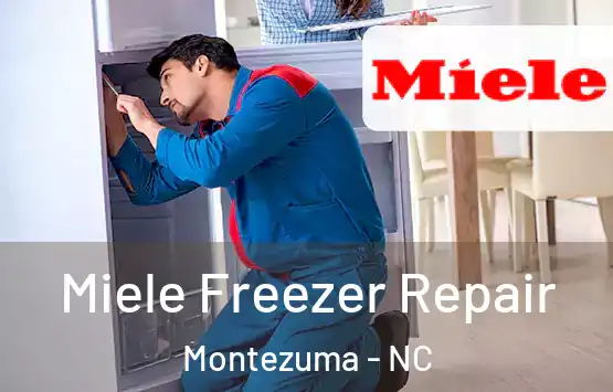  Miele Freezer Repair Montezuma - NC
