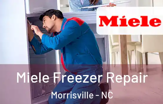 Miele Freezer Repair Morrisville - NC