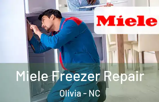  Miele Freezer Repair Olivia - NC