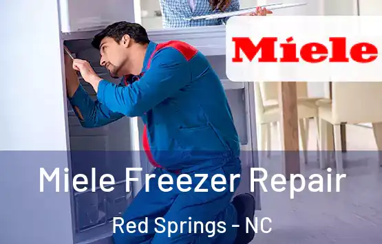  Miele Freezer Repair Red Springs - NC