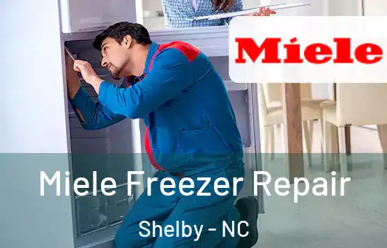  Miele Freezer Repair Shelby - NC
