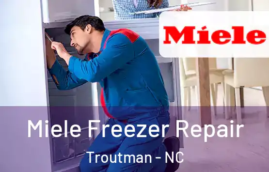  Miele Freezer Repair Troutman - NC
