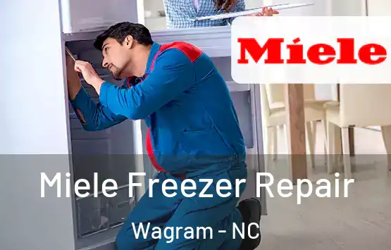  Miele Freezer Repair Wagram - NC