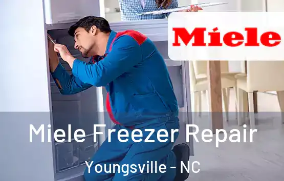  Miele Freezer Repair Youngsville - NC