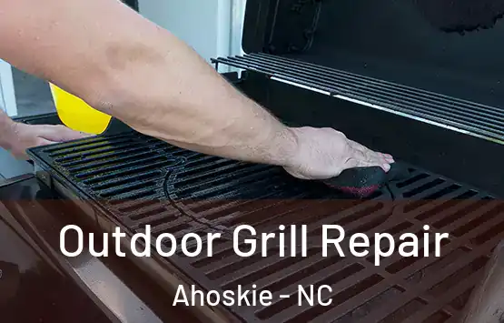  Outdoor Grill Repair Ahoskie - NC