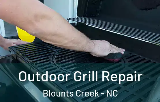  Outdoor Grill Repair Blounts Creek - NC