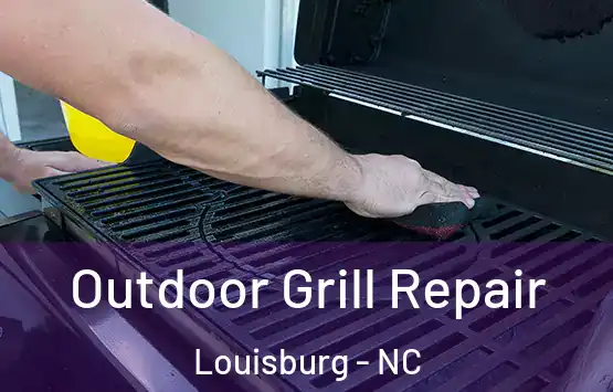  Outdoor Grill Repair Louisburg - NC
