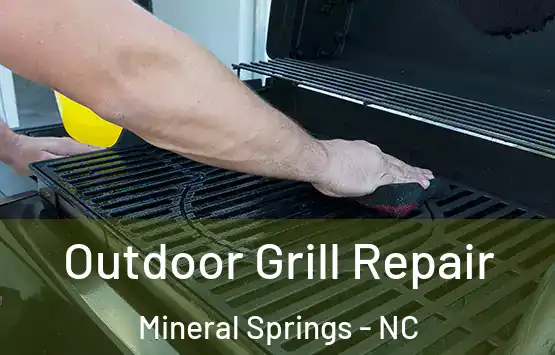  Outdoor Grill Repair Mineral Springs - NC