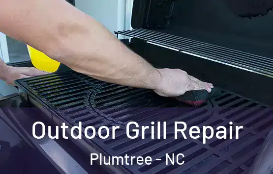  Outdoor Grill Repair Plumtree - NC