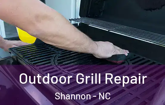  Outdoor Grill Repair Shannon - NC