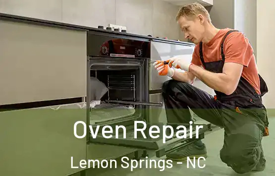 Oven Repair Lemon Springs - NC