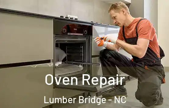  Oven Repair Lumber Bridge - NC