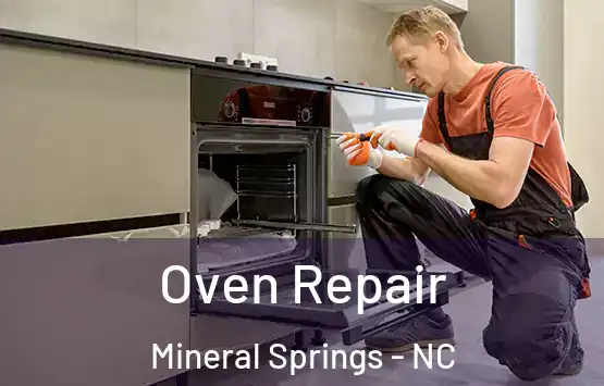  Oven Repair Mineral Springs - NC