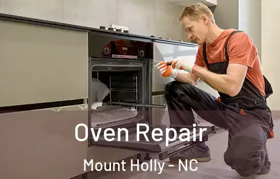  Oven Repair Mount Holly - NC