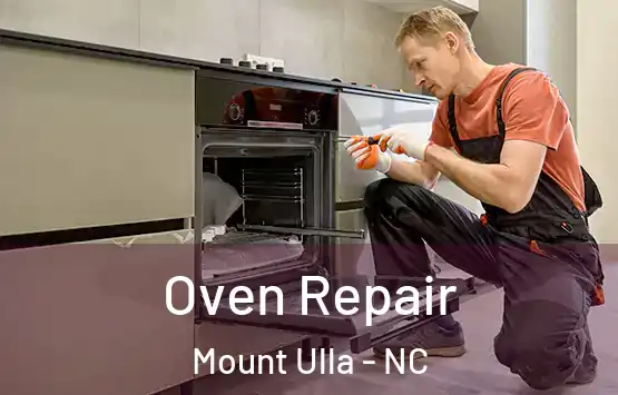  Oven Repair Mount Ulla - NC