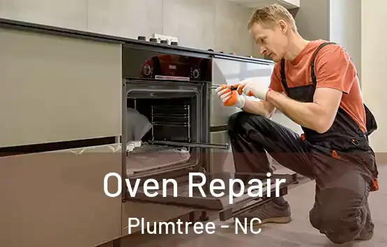  Oven Repair Plumtree - NC
