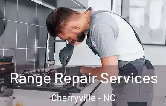  Range Repair Services Cherryville - NC