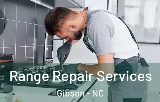  Range Repair Services Gibson - NC