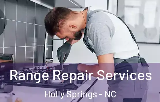  Range Repair Services Holly Springs - NC