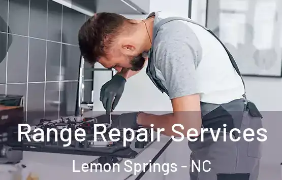  Range Repair Services Lemon Springs - NC
