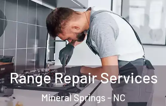  Range Repair Services Mineral Springs - NC