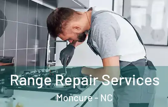  Range Repair Services Moncure - NC