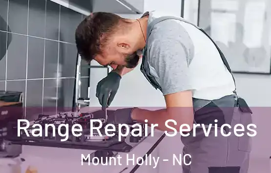  Range Repair Services Mount Holly - NC