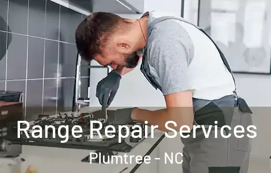  Range Repair Services Plumtree - NC